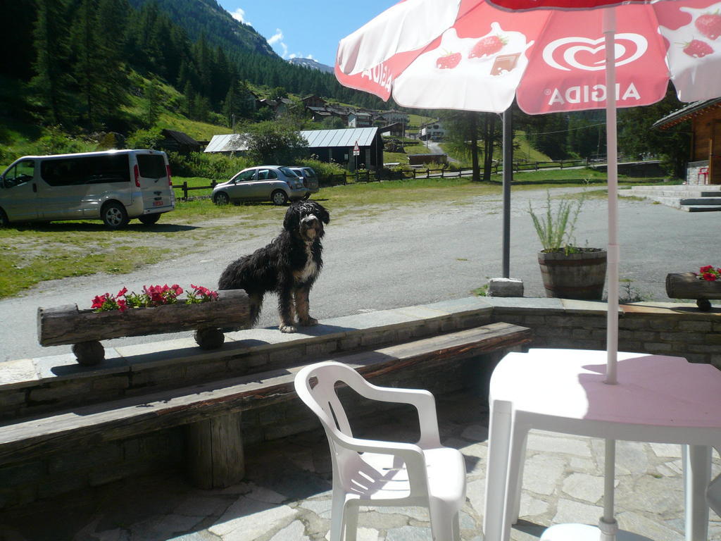 Hotel Camping Grivola Valsavarenche Exterior foto